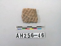 藏品(紅色夾砂陶片)的圖片